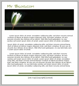 Blog Layout Design