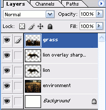 Integrating a creature into a new environment