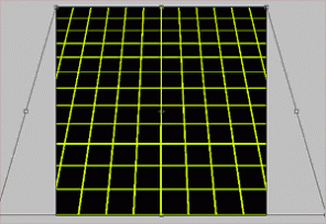 3D Perspective Grid