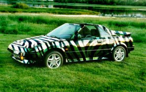 Skinning and Texturing