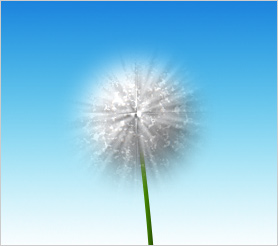 Dandelion or fuzzy ball