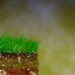 Earth/Ground Cross-Section