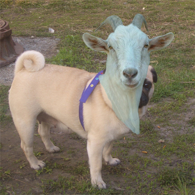image 14
