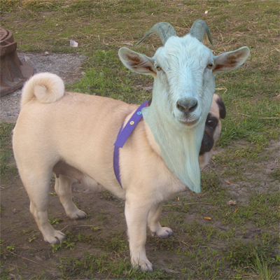 image 15