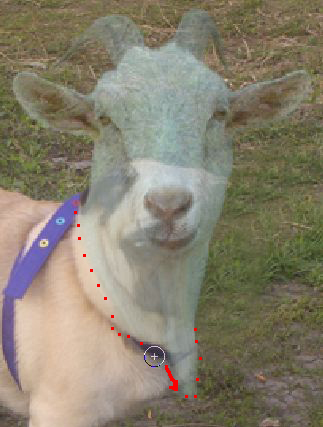 image 25