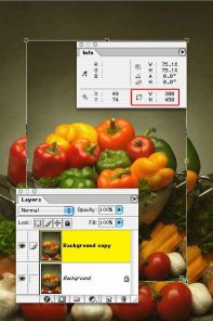 Copying Between Images of Different Size