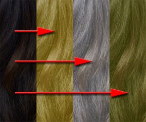 From brunette to blond