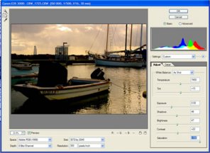 Working in the Photoshop CS Camera Raw Dialog Box