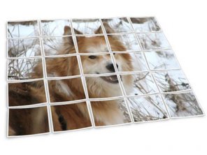 Create Beautiful Photos In Minutes With Easy Actions