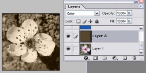 Color blend mode in photoshop