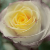 Saturation Blend Mode in Photoshop