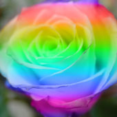 Hue Blending Mode in Photoshop