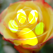 Color dodge blend mode