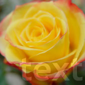 Photoshop\'s Linear Light