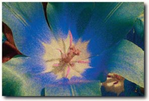 Exploiting Filters part 1