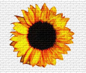 Art creator graffiti on a wall