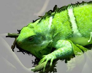 Painting with the Art History Brush