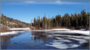 Comic/Cartoon Effect