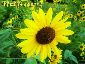 Picture Text Effect (Exclusive Tutorial)