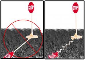 Reflections on Reflections