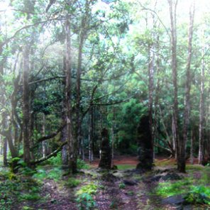 Creating a Morning Scene