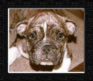 Simple matte simulation