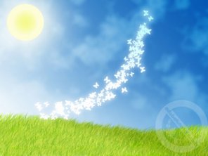 Butterfly Wallpaper Design