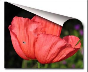 How to Use Converting Point Tool