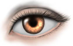 Eye Drawing