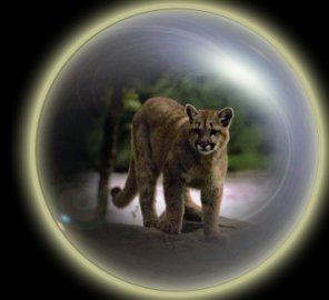 Turn a Flare or Bright Spot into an Orb Bubble or Magic Ball