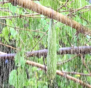 Add Rain Effect to a Photograph or Image