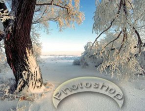 How to Add a Label or Text to a Photograph or Image