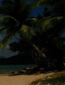 Curves Usage Tutorial