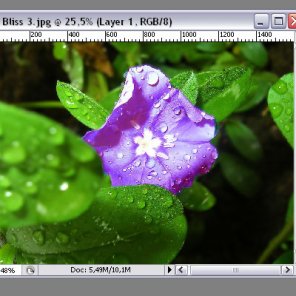 Changing Color of a Flower