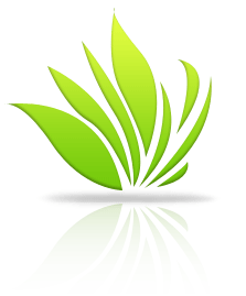 How to Create Custom Shape