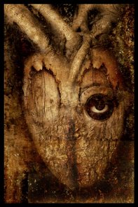 Dark Side of the Heart