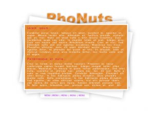 White and Orange Portfolio