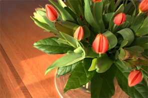 Painting with Light: Quick Photo Touch-up Technique