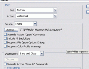 Batch Watermarking & Adding Copyright with Photoshop