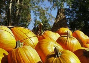 Controlling Highlights & Shadows