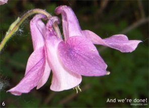 Fixing chromatic aberrations with photoshop