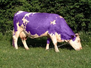How to Make Milka Cow