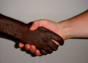 Black and White Handshake