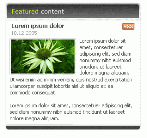 Rounded Content Box Design