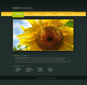 Photo Portfolio Web Page Layout