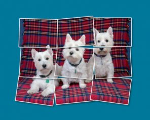 Polaroid Snapshots Mosaic (Exclusive Tutorial)