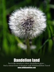 Image-Background Transition for a Poster