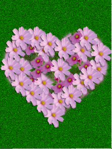 Flower Heart