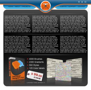 Web 2.0 Business Layout