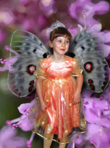 How to Make a Fairy Collage